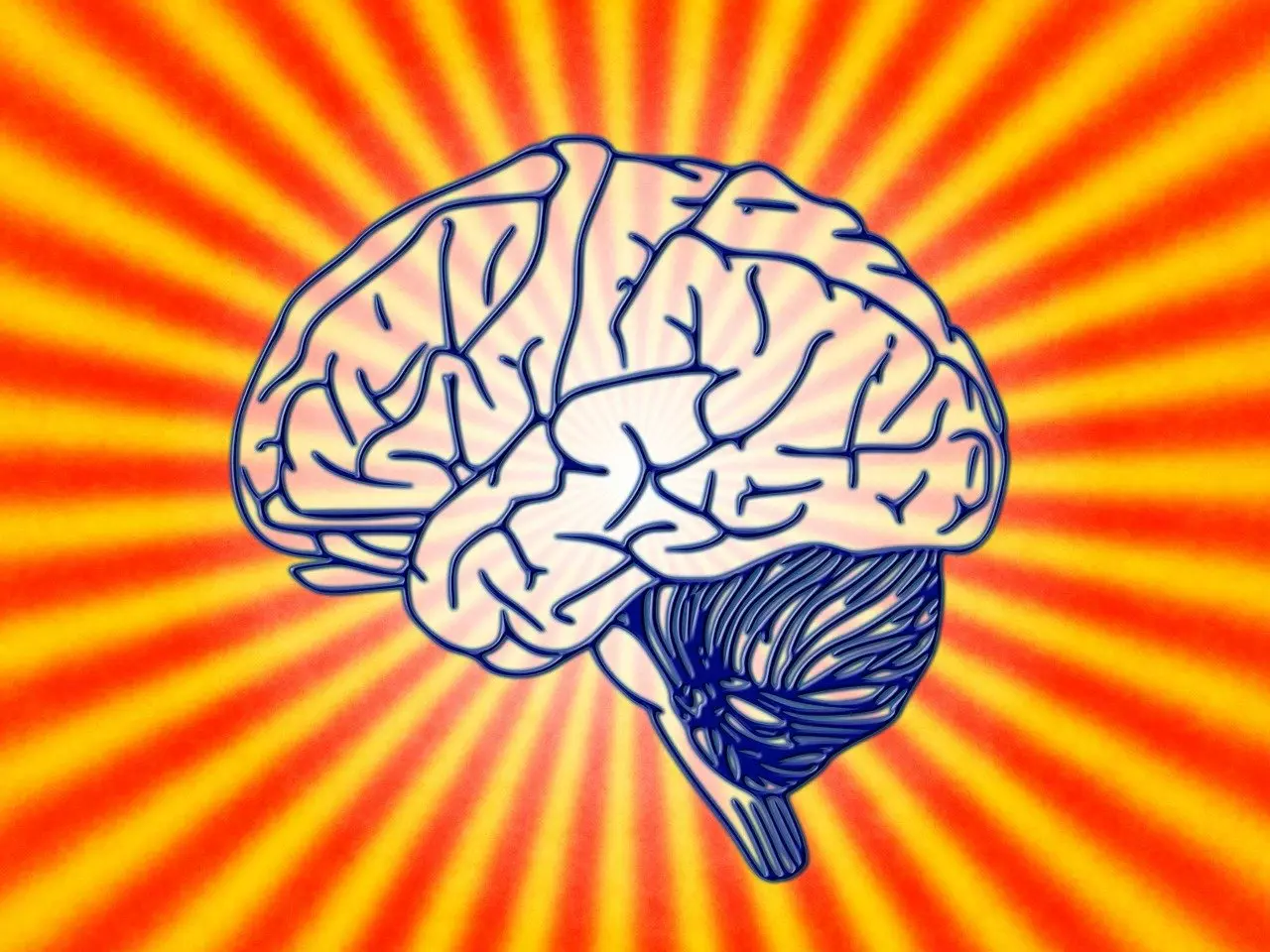 quelles-sont-les-differentes-specialites-psychiatre-psychologue-psycho-analyste-clinicien